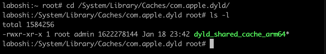 dyld-cache-path