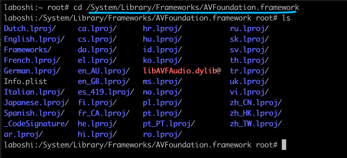 system-lib-path